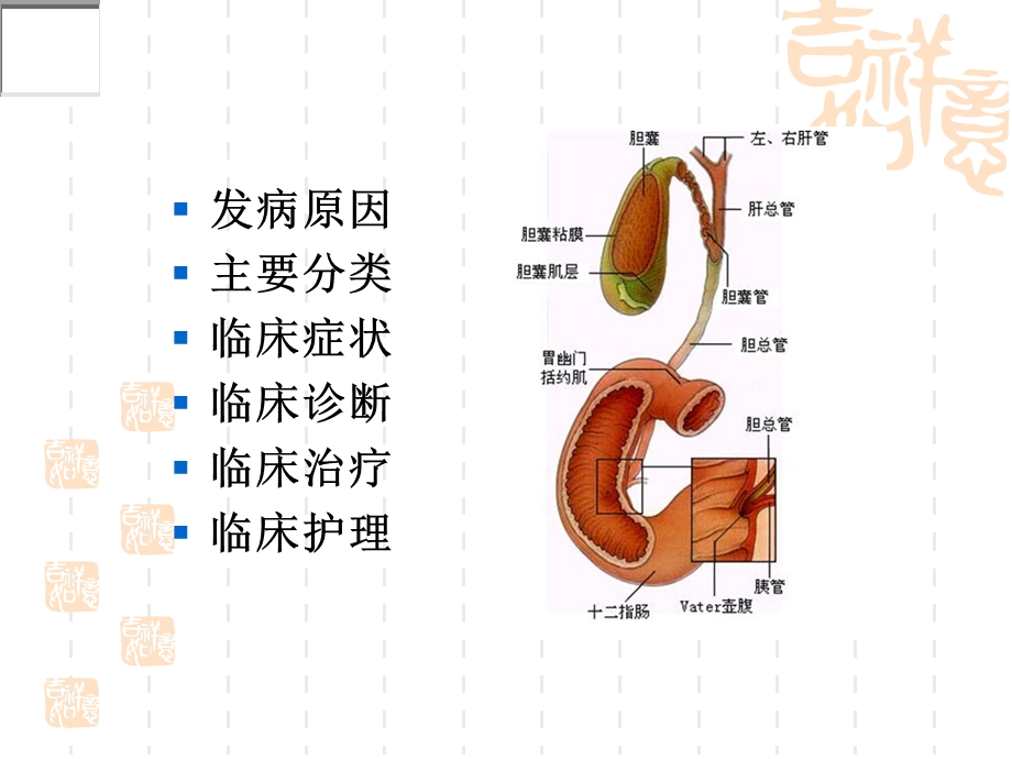 胆囊炎病人的治疗与护理.ppt_第3页