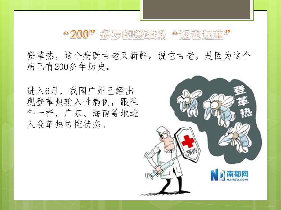 预防登革热主题班会课件.ppt_第2页