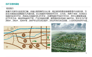 五矿正信林溪地高端别墅项目外檐、物业、安防汇总报告89P.ppt