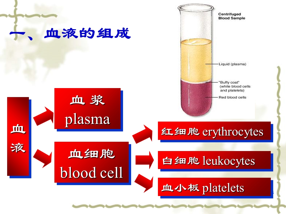 生理学血液生理.ppt_第3页