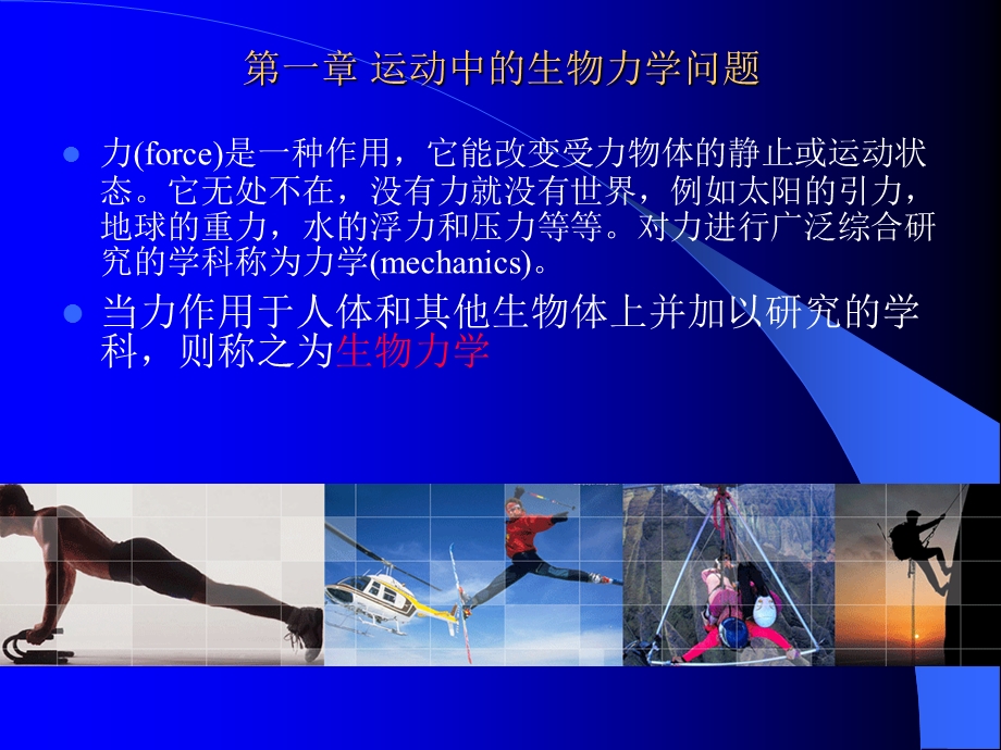 运动系统生物力学.ppt_第3页