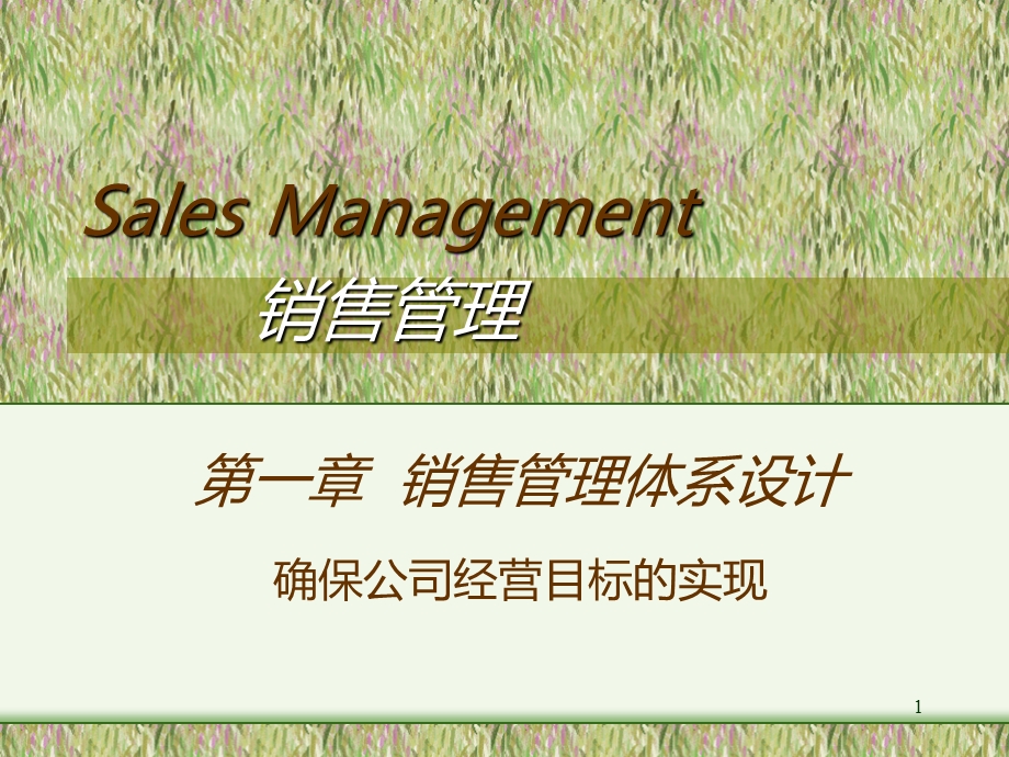 销售管理体系设计.ppt_第1页