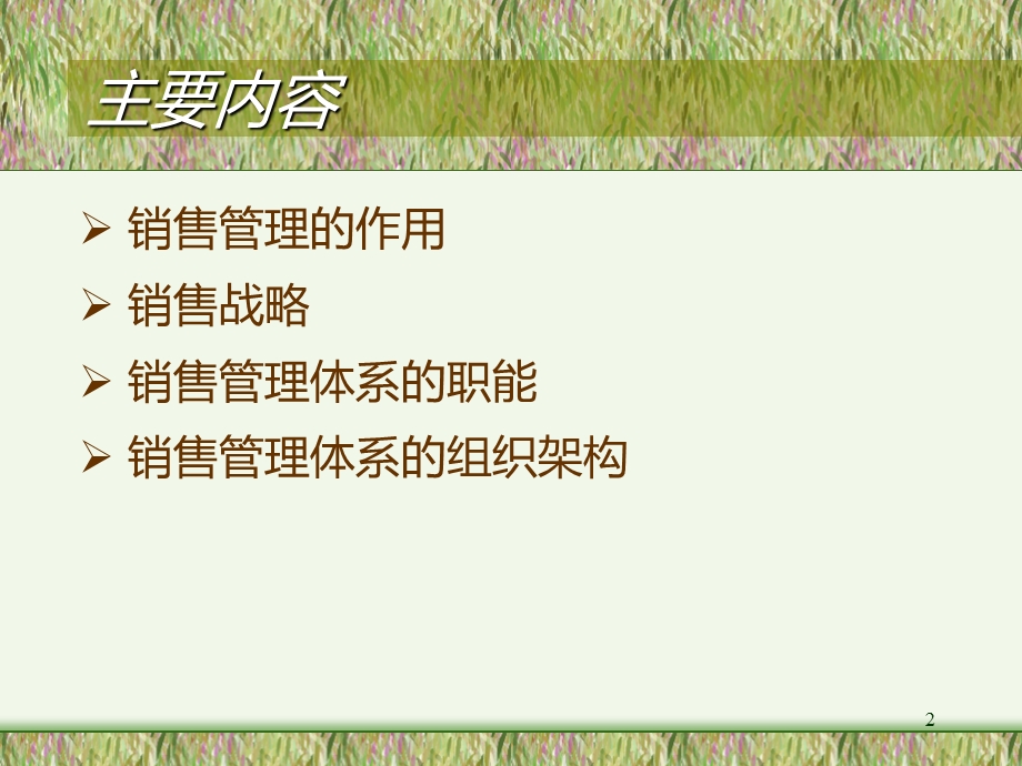 销售管理体系设计.ppt_第2页