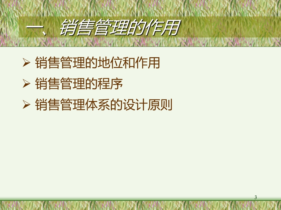 销售管理体系设计.ppt_第3页