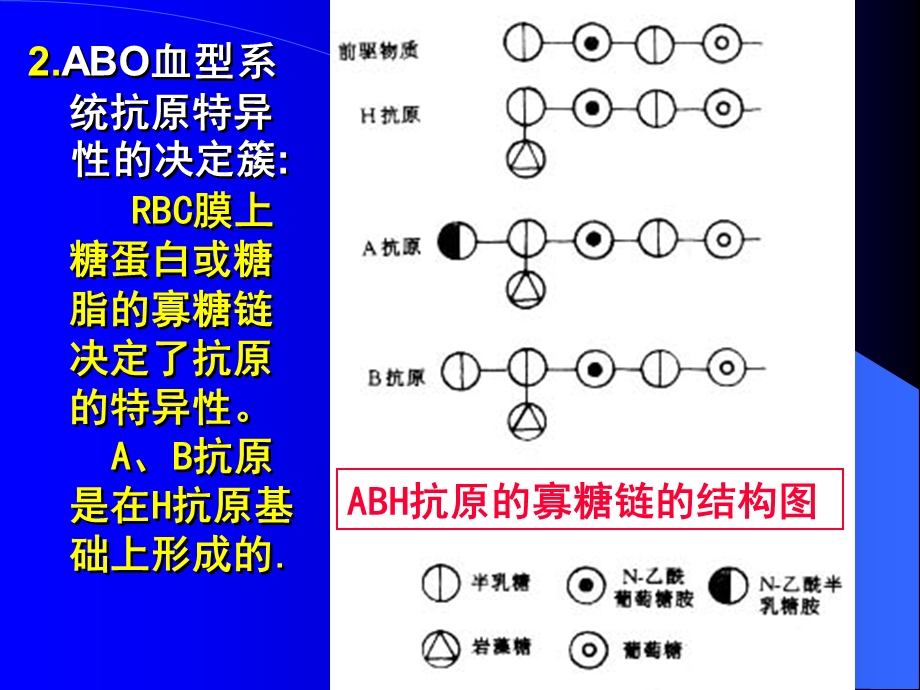 血型与输血原则.ppt_第3页