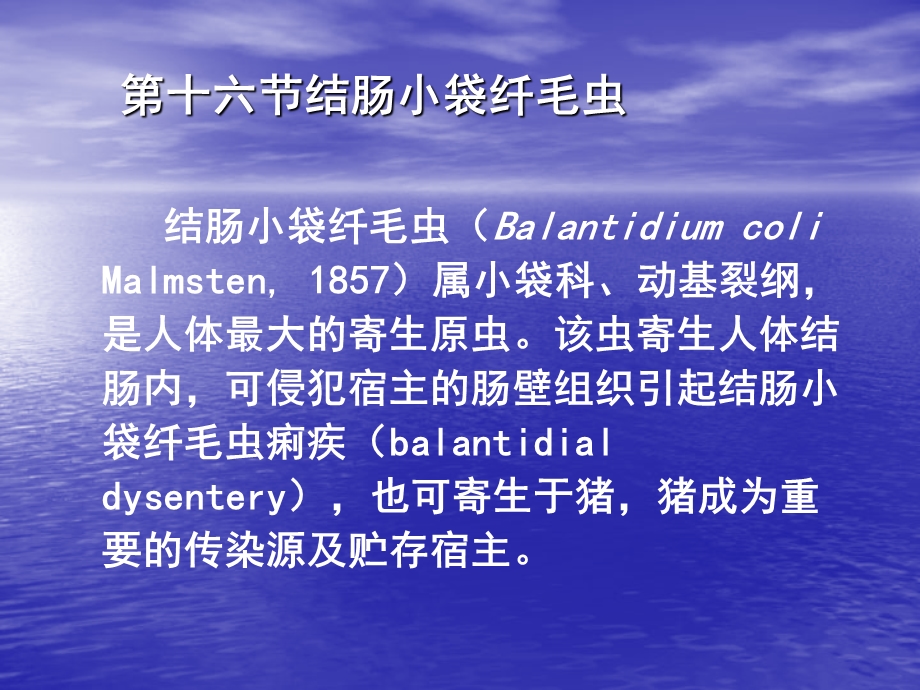 结肠小袋纤毛虫.ppt_第2页