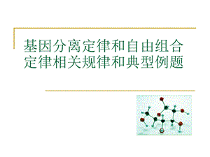 基因分离定律和自由组合定律解题规律.ppt