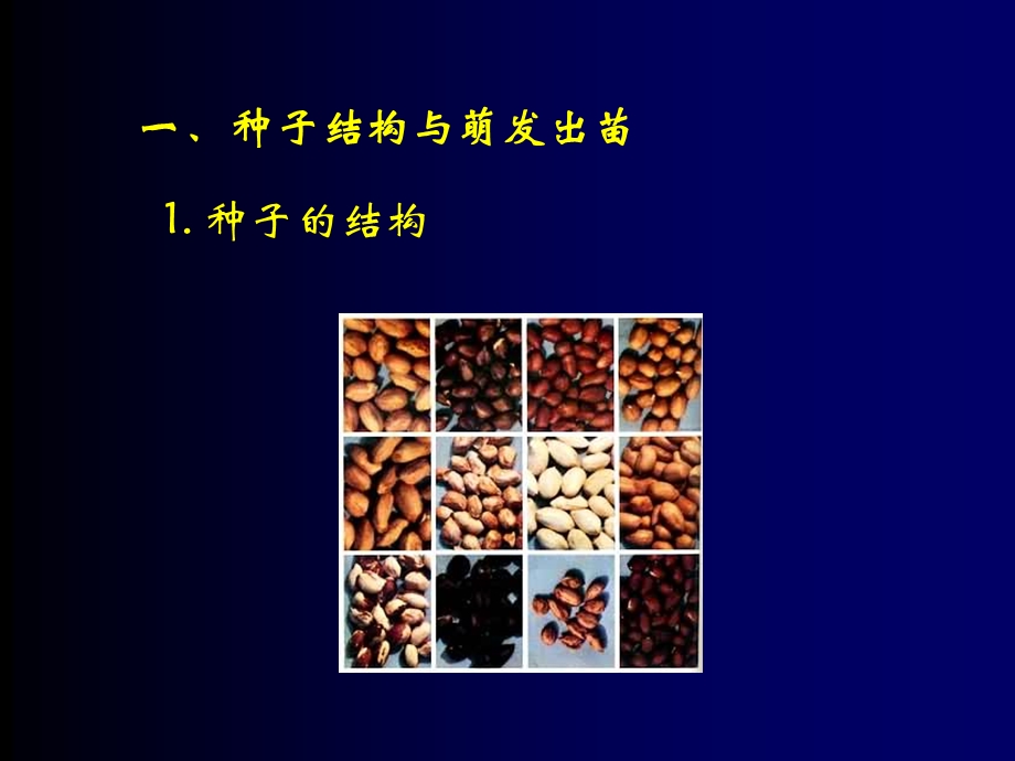 经济作物器官建成.ppt_第2页