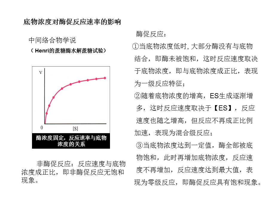 酶促反应动力学.ppt_第3页