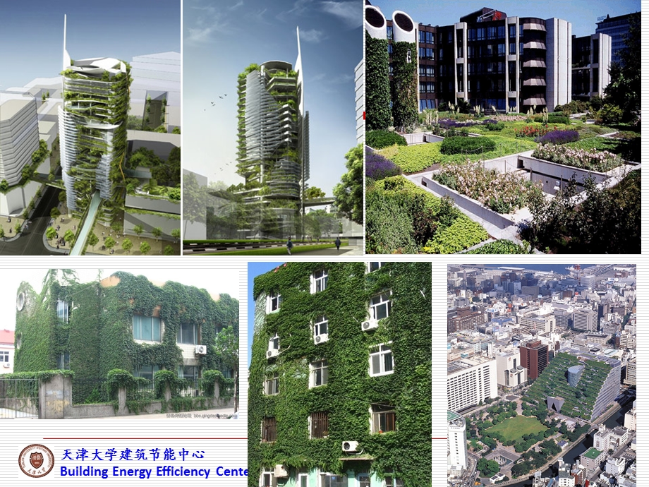 绿色建筑的环境绿化(第九讲).ppt_第2页