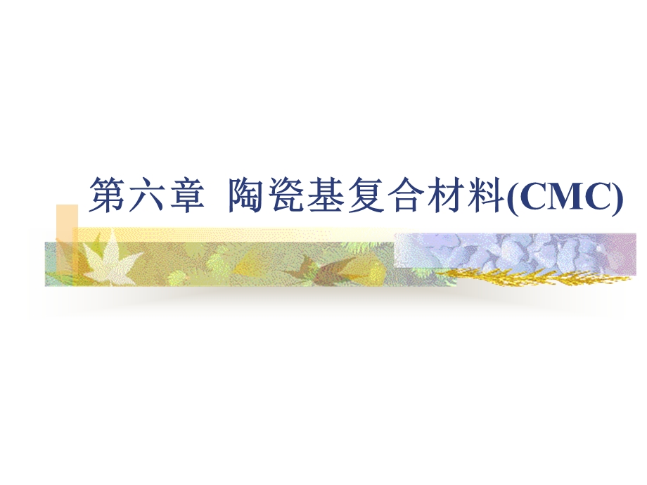 陶瓷基复合材料(CMC).ppt_第1页