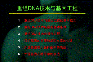 重组DNA技术与基因工程2.ppt