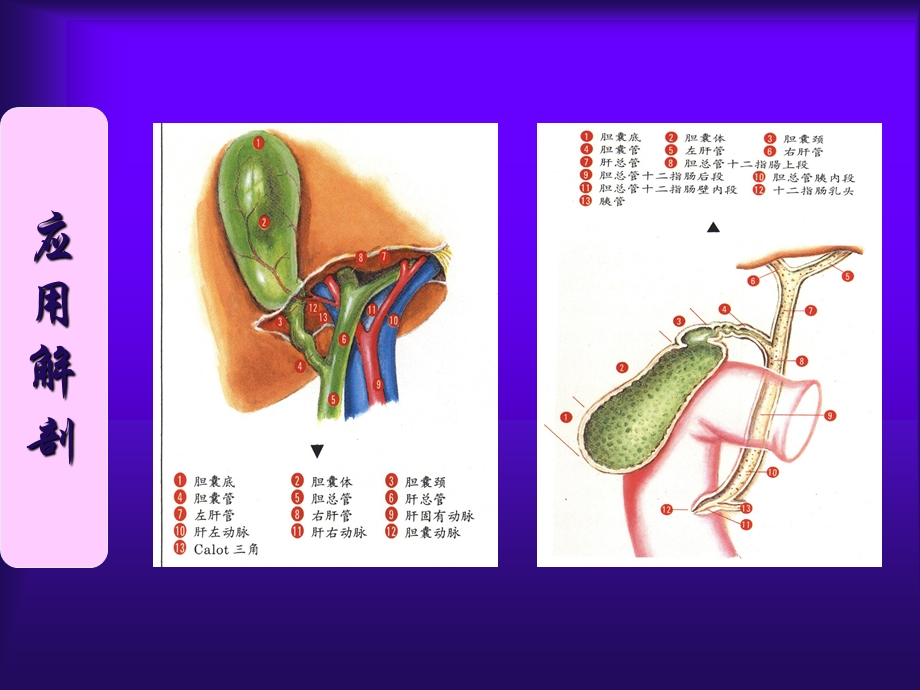 大连医科大学附属第二医院.ppt_第2页