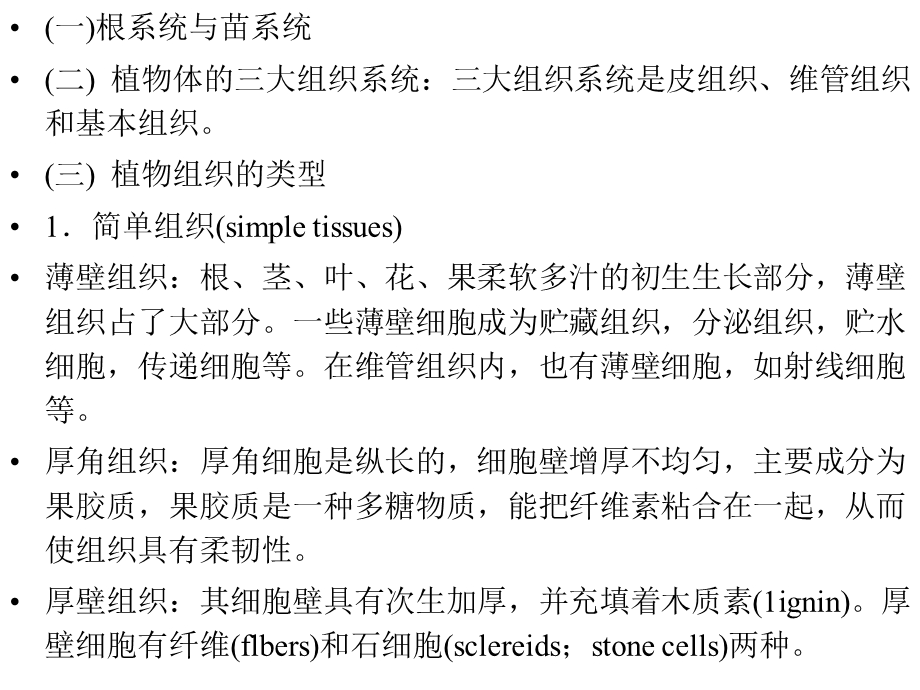 植物的结构与功能 .ppt_第3页