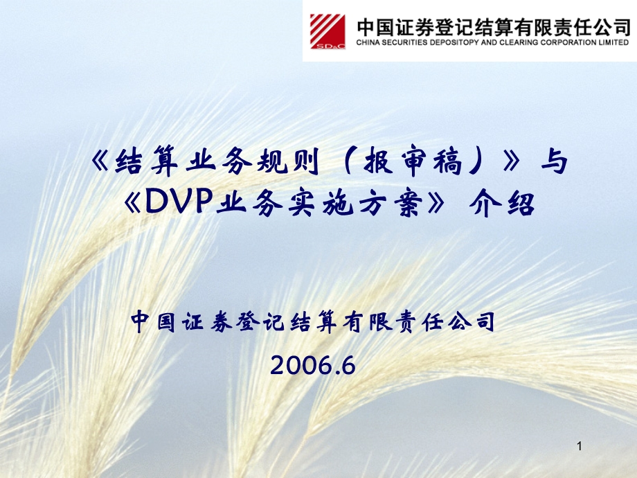 结算业务规则报审稿与DVP业务实施方案介绍.ppt_第1页