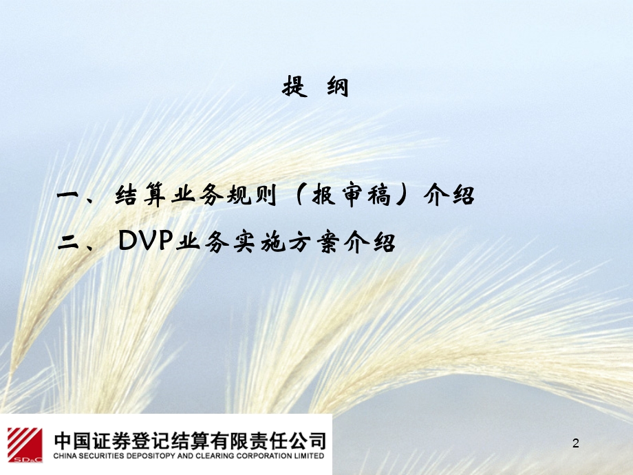 结算业务规则报审稿与DVP业务实施方案介绍.ppt_第2页