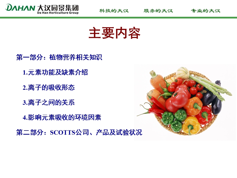 植物营养培训讲义.ppt_第2页