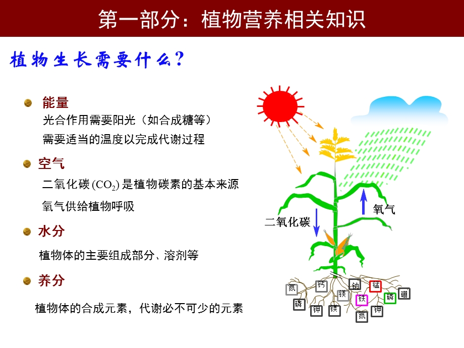 植物营养培训讲义.ppt_第3页