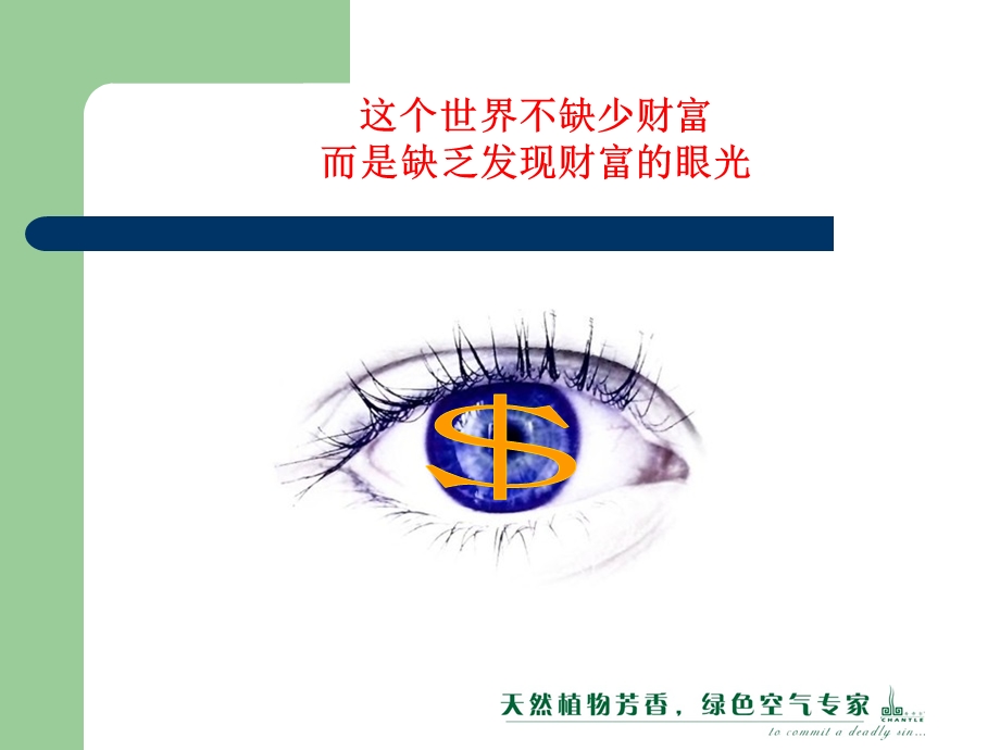 香帝尔品牌项目合作介绍代理商.ppt_第2页