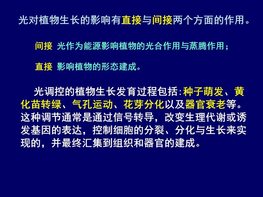 植物的光形态建成.ppt_第2页