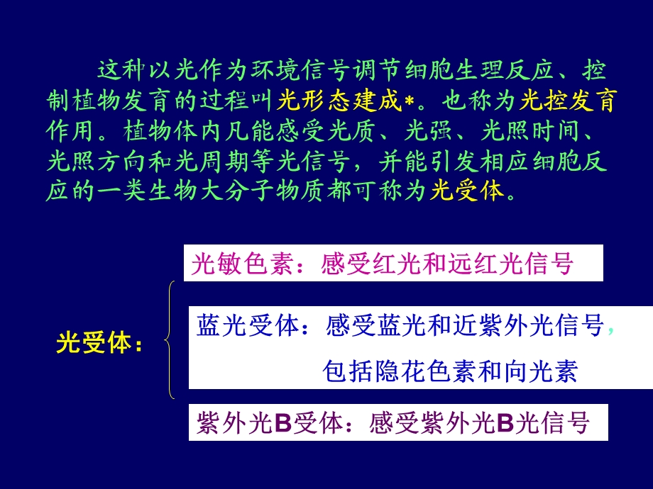 植物的光形态建成.ppt_第3页