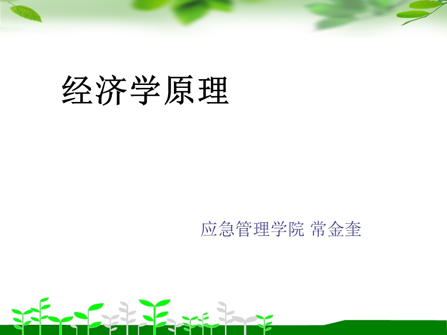 应急管理学院常金奎.ppt_第1页