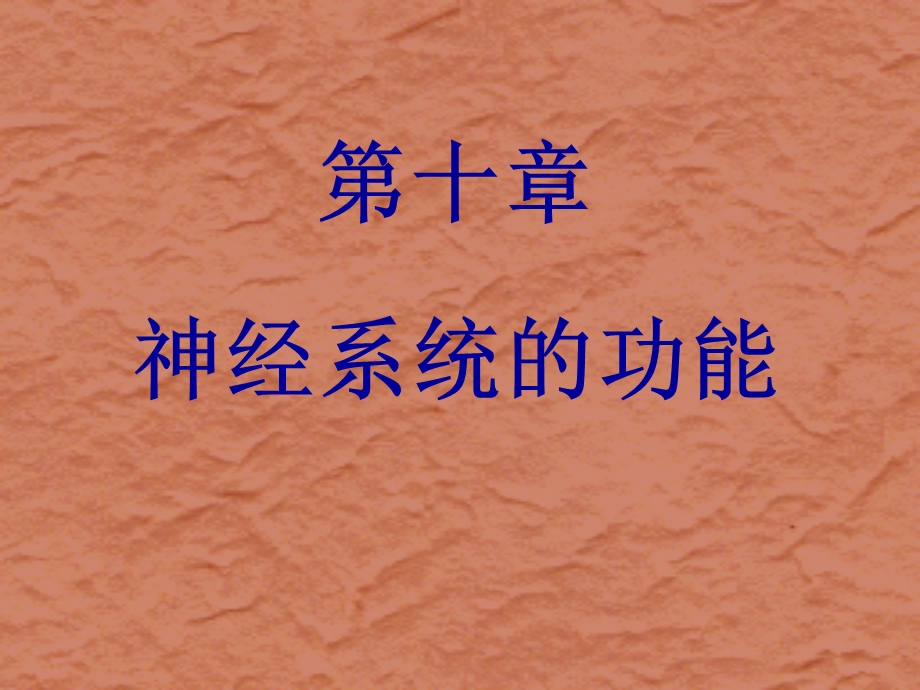 生理学第十章神经系统.ppt_第1页