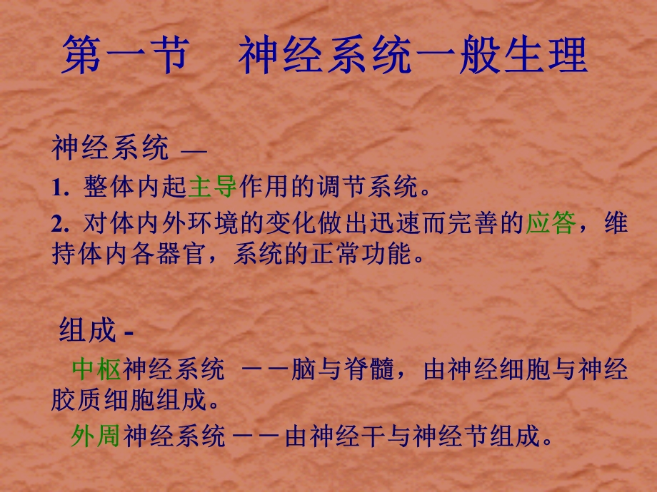 生理学第十章神经系统.ppt_第2页