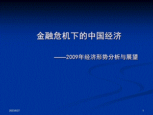 金融危机下中国经济经济形势分析与展望.ppt