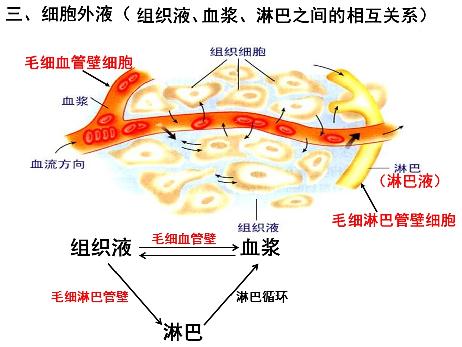 细胞生活的内环境.ppt_第1页