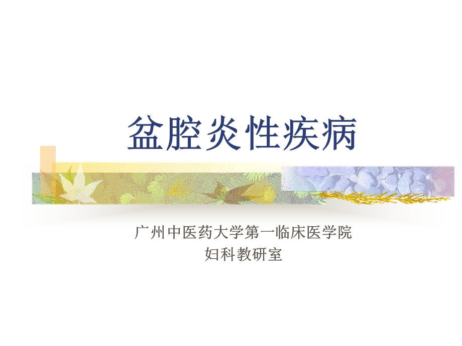 盆腔炎性疾病七年制.ppt_第1页