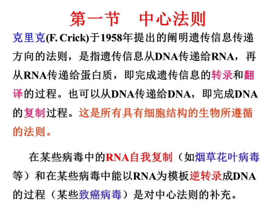 遗传信息的传递.ppt_第2页