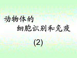 细胞识别与免疫.ppt