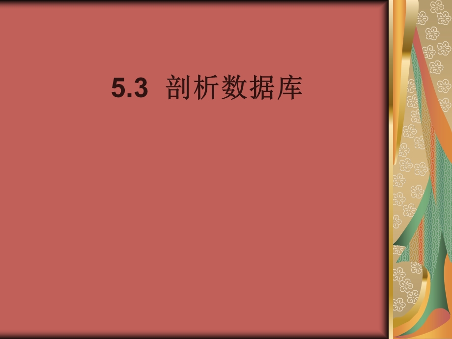 5.3剖析数据库.ppt_第1页