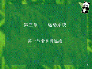 运动骨和骨连结.ppt