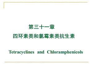 药理学课件第三十一章四环素、氯霉素、其它.ppt