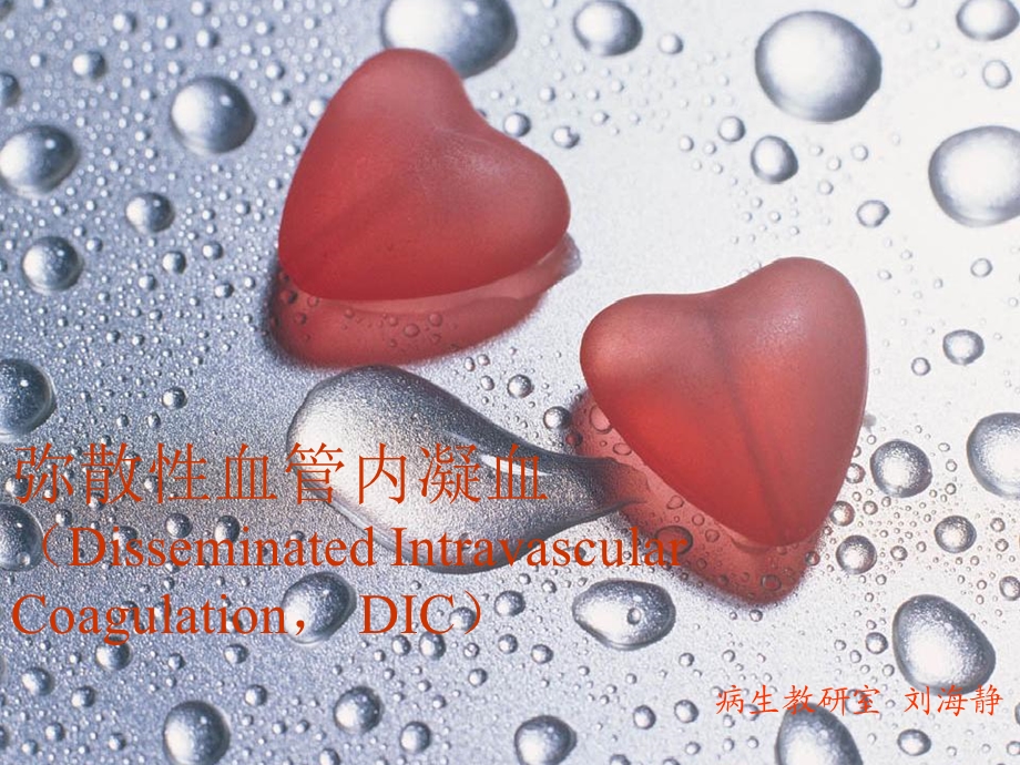 第十二章DIC.PPT_第1页