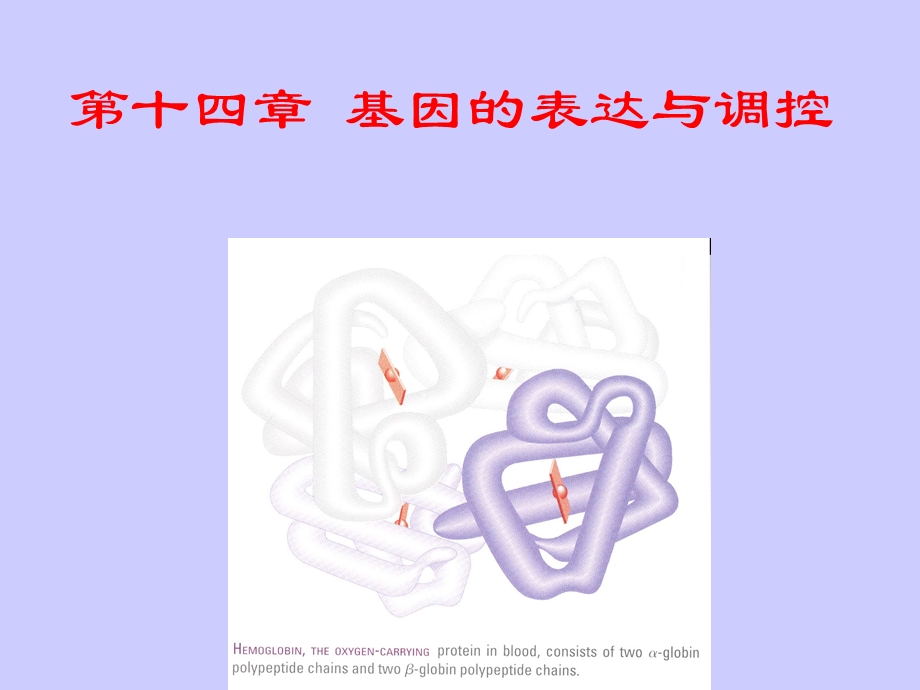 遗传学第十四章 基因的表达与调控.ppt_第1页