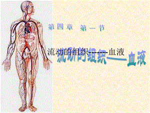 流动的组织血液全.ppt