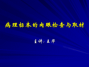 病理标本的肉眼检查与取材.ppt