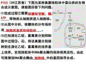 遗传的物质基础练习11.ppt