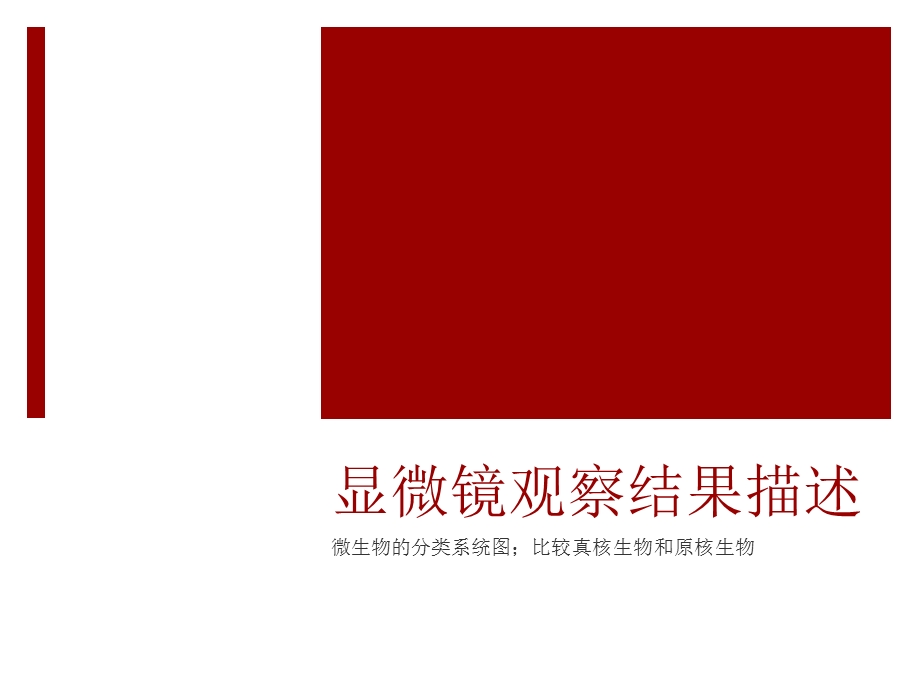 细菌的一般形态和结构.ppt_第1页