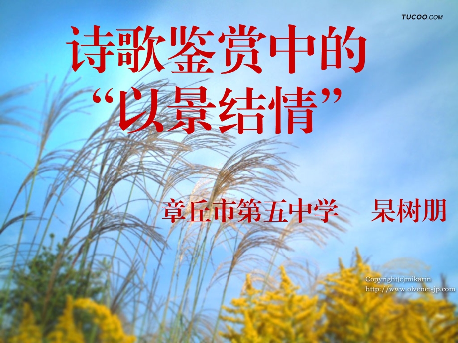 诗歌鉴赏之以景结情-杲树朋.ppt_第1页