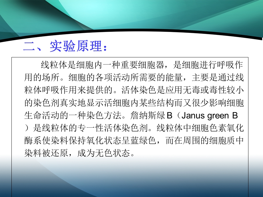 线粒体的活体染色.ppt_第3页