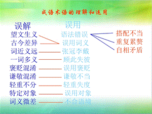 成语的理解和运用6.ppt