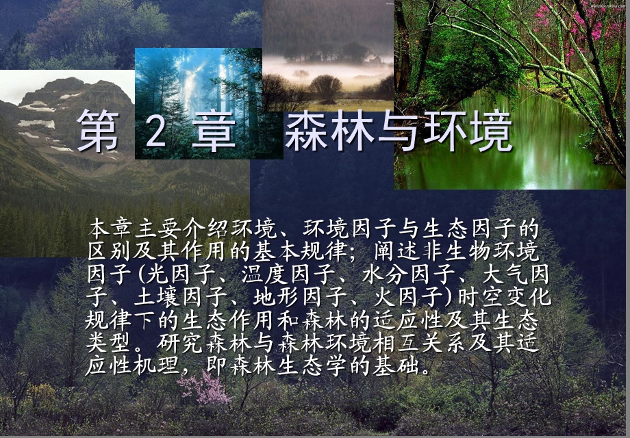 森林与环境(第二章).ppt_第1页