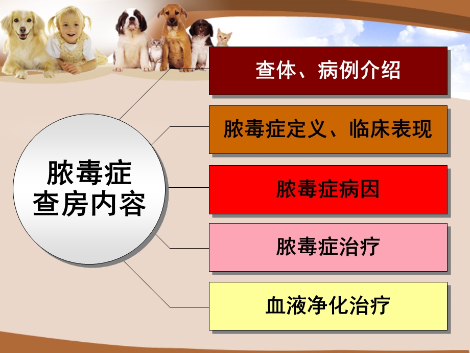 脓毒症护理查房.ppt_第3页