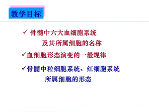 正常血细胞形态.ppt