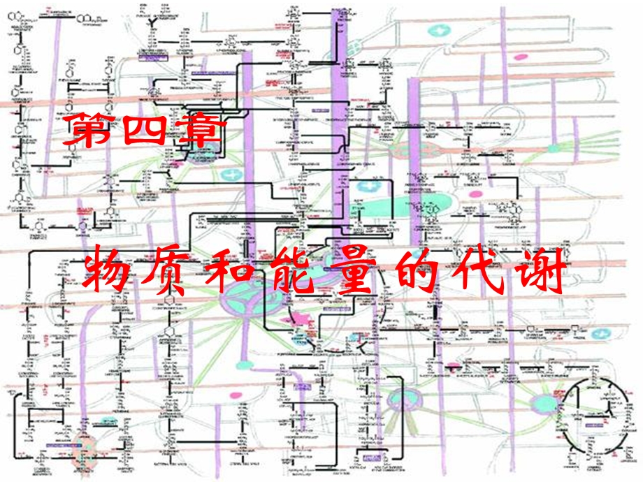 物质和能量的代谢.ppt_第1页