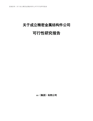 关于成立精密金属结构件公司可行性研究报告参考范文.docx